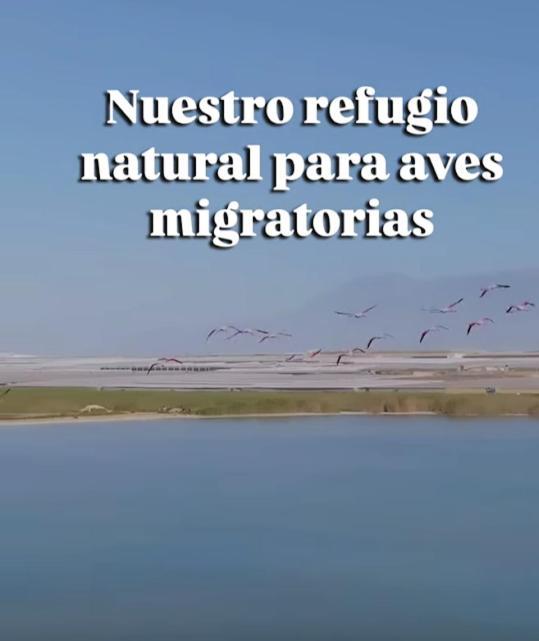 Mi Cortijo De Playa *